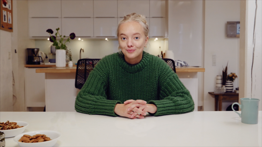 Et alternativet europa: Hvordan virker EU egentlig?